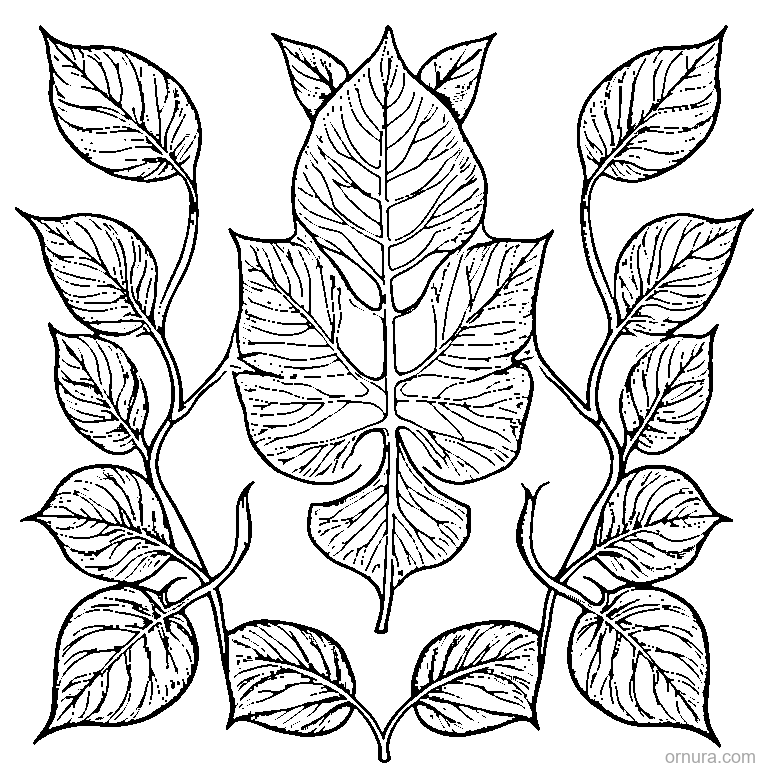 single leaf with visible veins design coloring page - free printable black and white line art for kids and adults