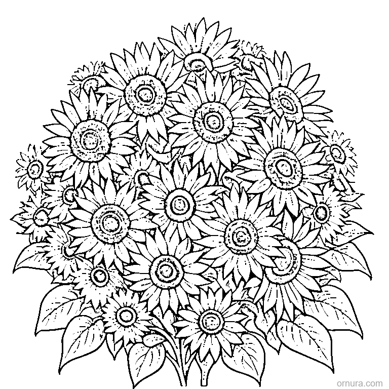 sunflower with a round center coloring page - free printable black and white line art for kids and adults