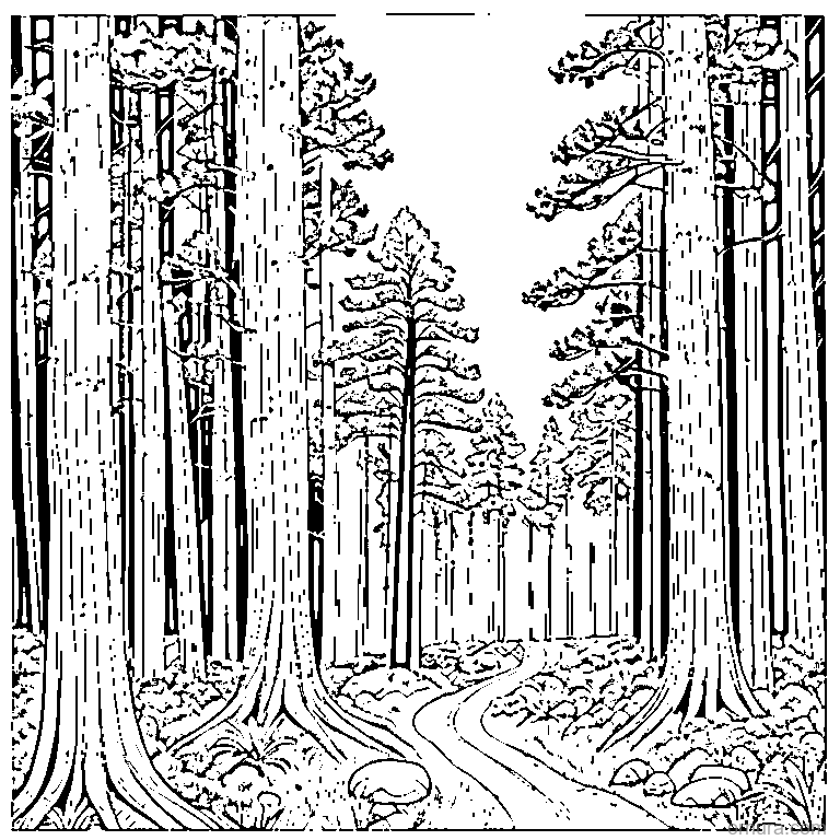 three pine trees in a forest coloring page - free printable black and white line art for kids and adults