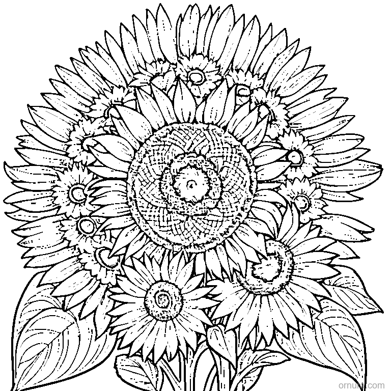three sunflowers coloring page - free printable black and white line art for kids and adults