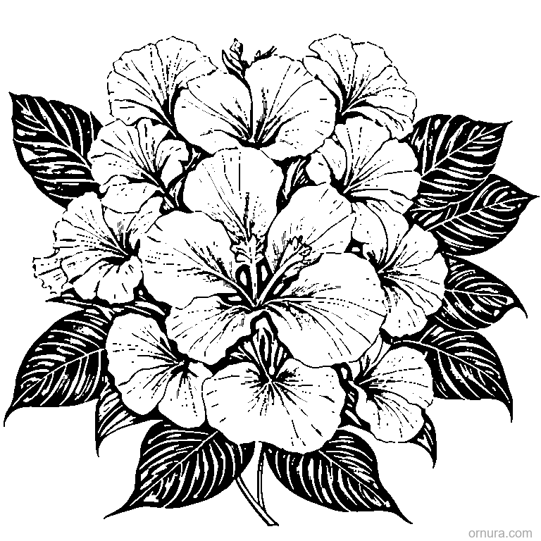 tropical leaf with hibiscus flower coloring page coloring page - free printable black and white line art for kids and adults