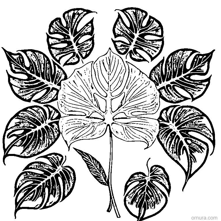 tropical monstera leaf with splits printable coloring page - free printable black and white line art for kids and adults