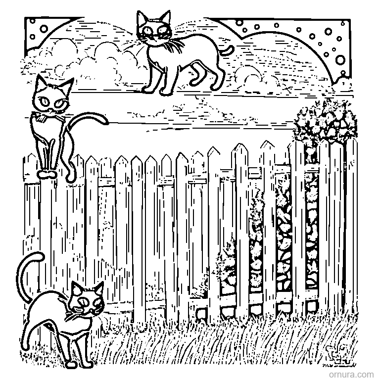 two black cats on a fence at night coloring page - free printable black and white line art for kids and adults