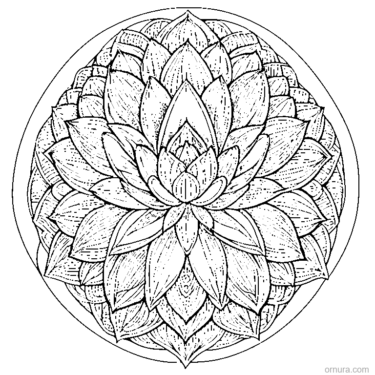 zentangle lotus flower coloring page - free printable black and white line art for kids and adults