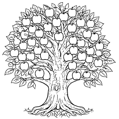 apple tree full of apples coloring pages