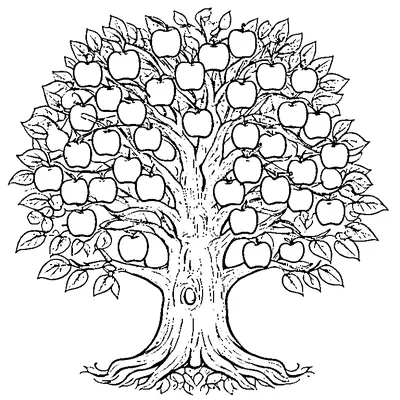 Apple Tree Full Of Apples