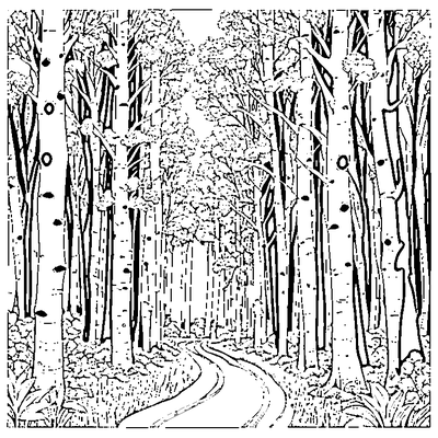 Aspen Forest Path coloring page - free printable
