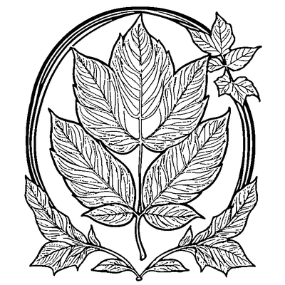 Autumn Leaf With Curled Edges coloring page variation 1