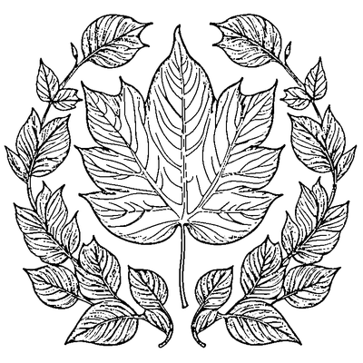 Autumn Leaf With Curled Edges coloring page variation 3