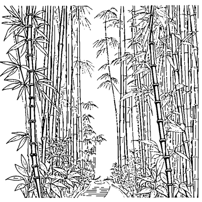 Bamboo Forest With Tall Stalks coloring page - free printable