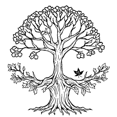 Bare Tree With Falling Leaves coloring page variation 2