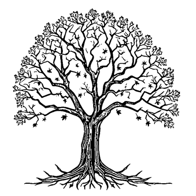 Bare Tree With Falling Leaves coloring page variation 5