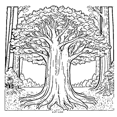 big maple tree in autumn coloring pages