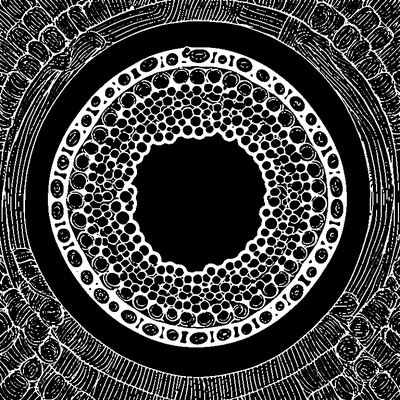 Bubble Wrap Pattern Circles Printable