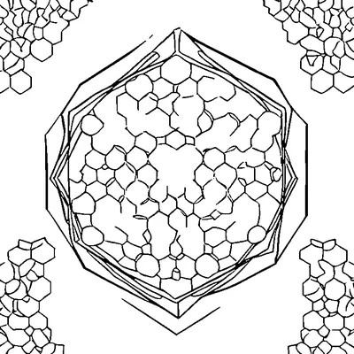 bubble wrap pattern hexagon coloring pages