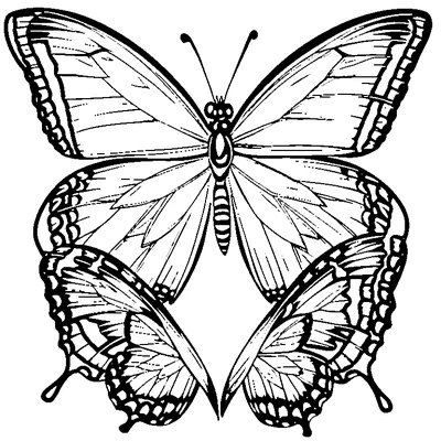 Butterfly Pattern Repeated coloring page variation 3