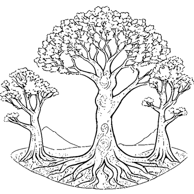 cherry blossom tree in bloom coloring pages