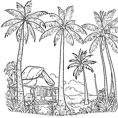 Coconut Palm Tree coloring page - free printable