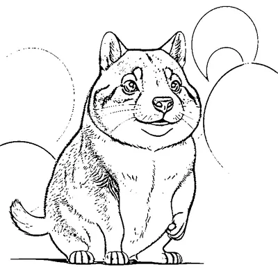 Cute Capybara With Round Body coloring page - free printable