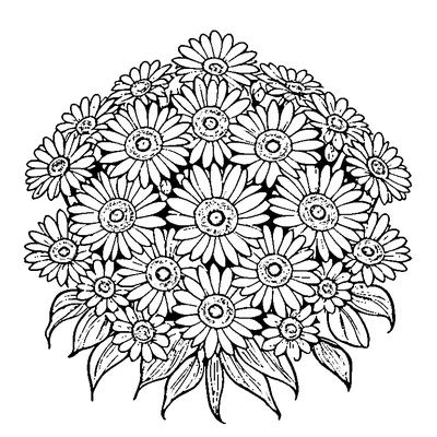 Daisy Pattern Flower coloring page variation 3