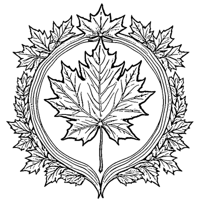 Detailed Maple Leaf With All Veins coloring page variation 5