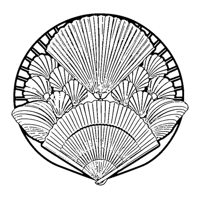 Fan Pattern Shells