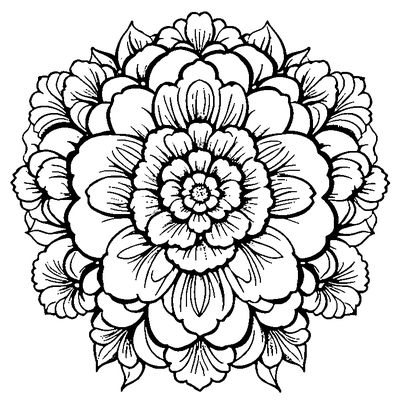 Flower Pattern Repeated Design
