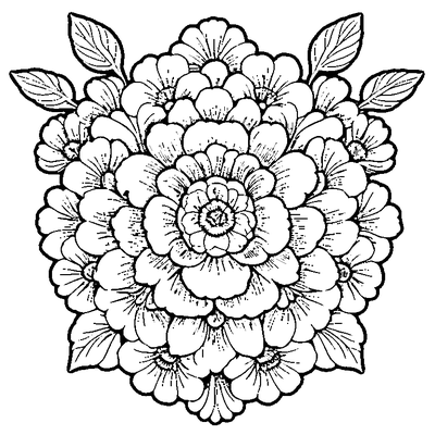 Flower Pattern Repeated