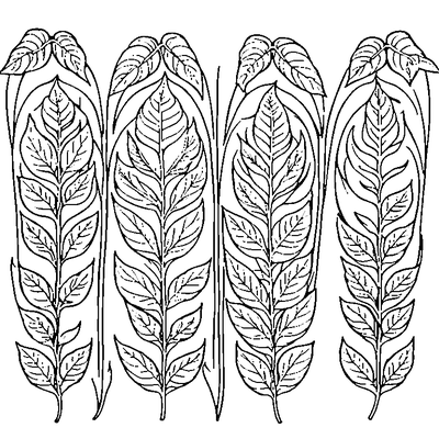 Four Different Leaves In A Row Template