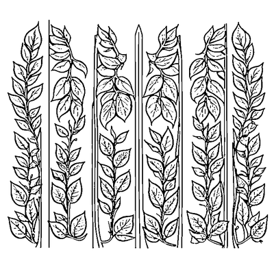 Four Different Leaves In A Row coloring page variation 3