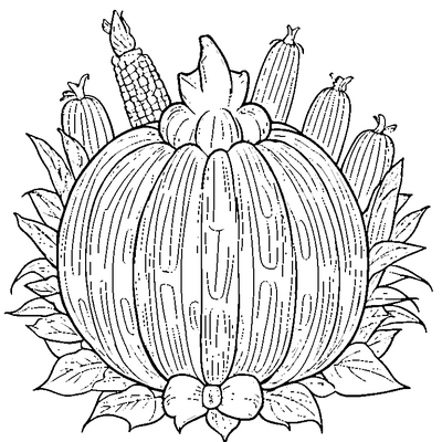 harvest pumpkin with corn husks coloring pages