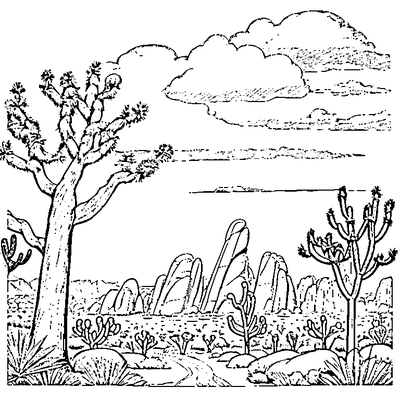 joshua tree in the desert coloring pages