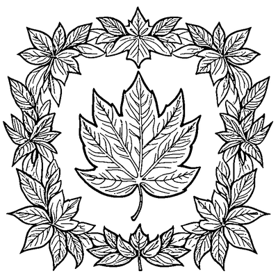 Leaf Border Pattern With Autumn Leaves coloring page variation 2