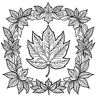 Leaf Border Pattern With Autumn Leaves Design coloring page - free printable
