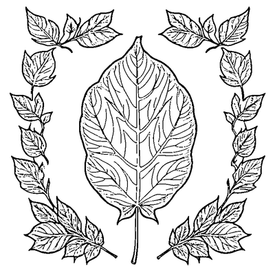 Leaf Falling From Tree Printable