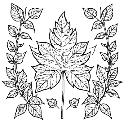 Leaf Pattern Simple Repeated coloring page variation 1