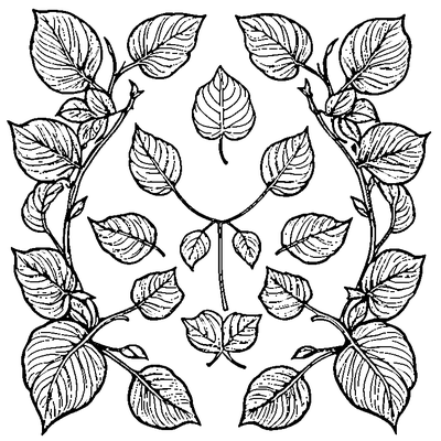 Leaf Pattern Simple Repeated coloring page variation 2