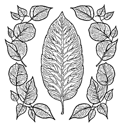 Leaf Pattern Simple Repeated coloring page variation 3