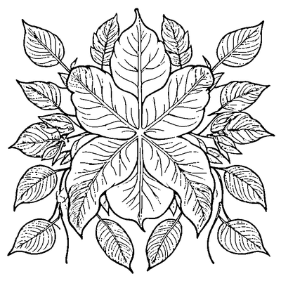 Leaf Pattern Simple Repeated coloring page variation 4