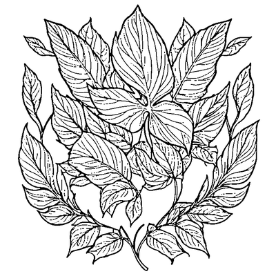Leaf Swirling In Wind Printable