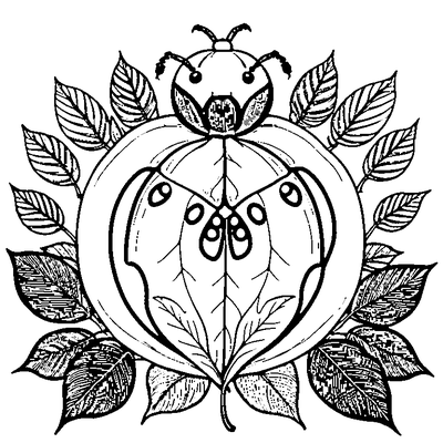 Leaf With A Ladybug Sitting On coloring page variation 2