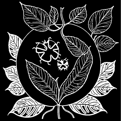 Leaf With A Ladybug Sitting On coloring page variation 4
