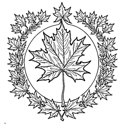 Maple Leaf Falling In Autumn Wind Template