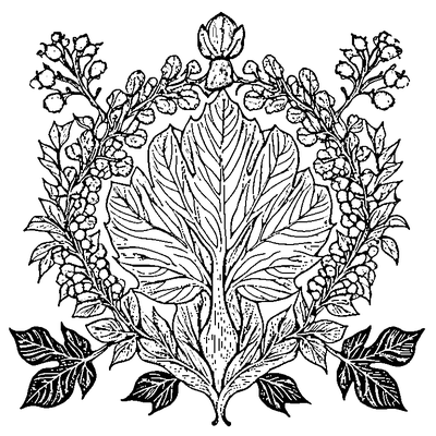 Oak Leaf With Acorn Cluster Template