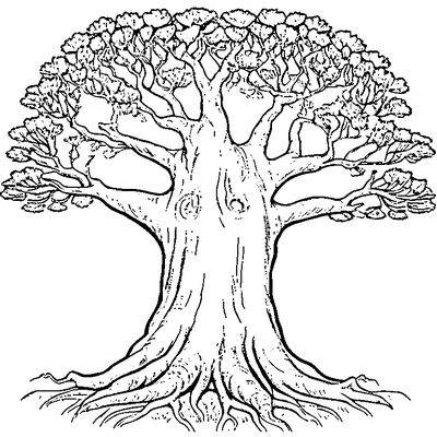 Olive Tree With Twisted Trunk coloring page - free printable