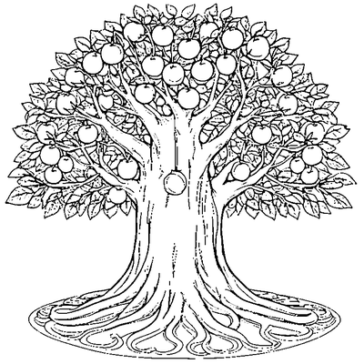 Orange Tree Full Of Oranges coloring page - free printable