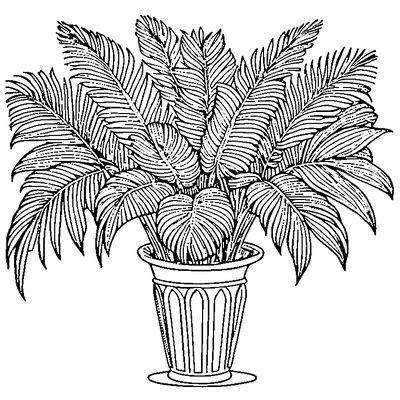 Palm Leaf With Fronds Printable