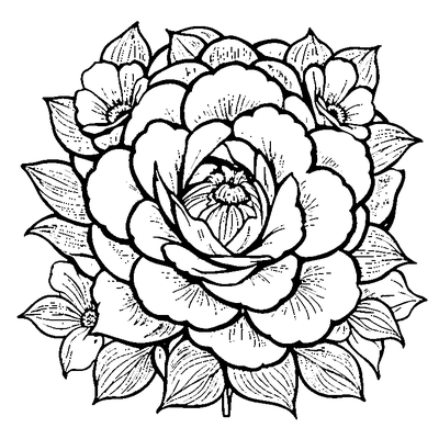 Petal Pattern Flower Template