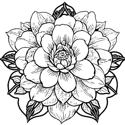 Petal Pattern Flower coloring page variation 2