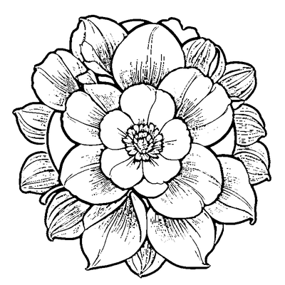 Petal Pattern Flower coloring page variation 3